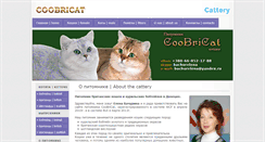 Desktop Screenshot of coobricat.com